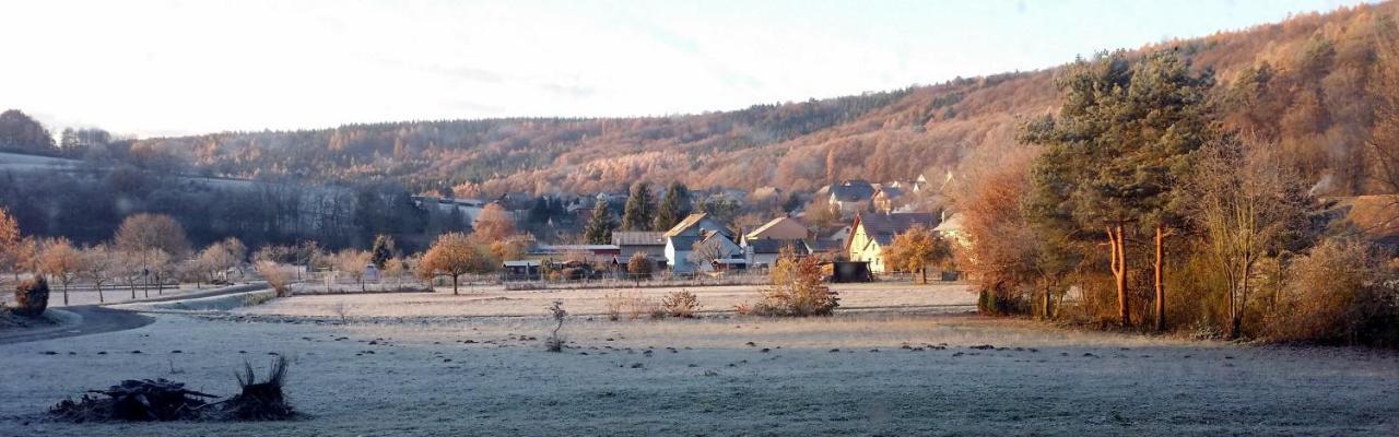 Landgasthof Zum Hirschen Hafenlohr Exterior foto